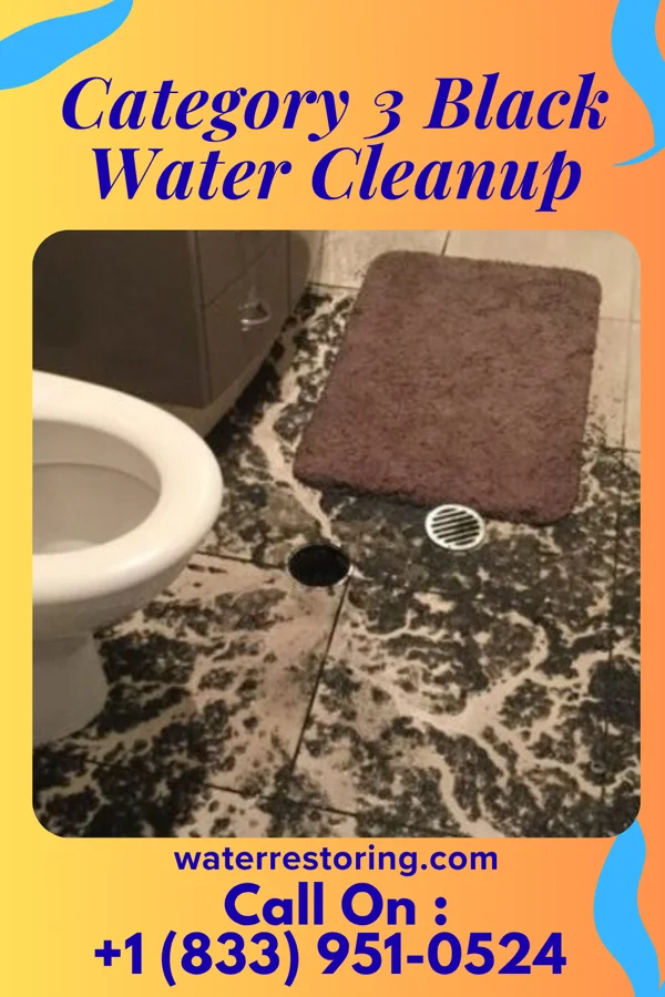 Category 3 Black Water Cleanup in North Hills, NY
