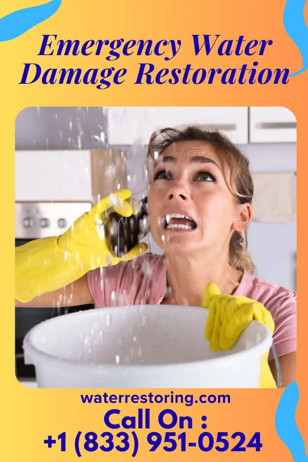 Emergency Water Damage Restoration in North Hills, NY