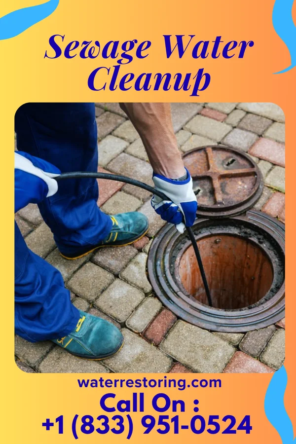Sewage Water Cleanup in North Hills, NY